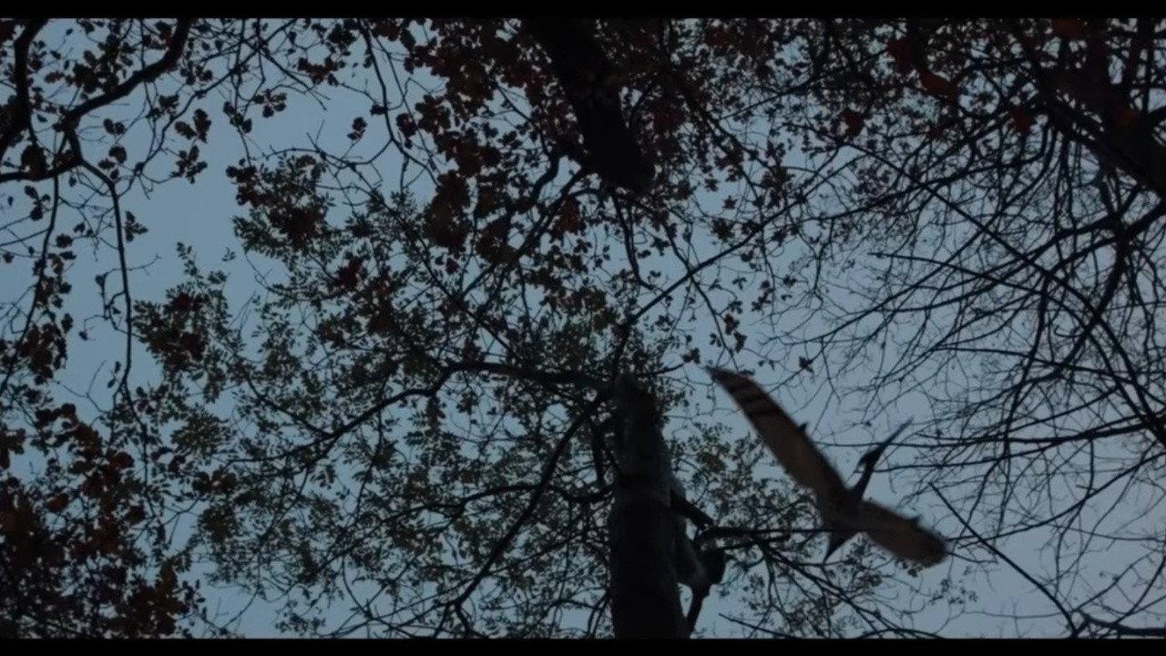Dinosaur Hunt (2026)