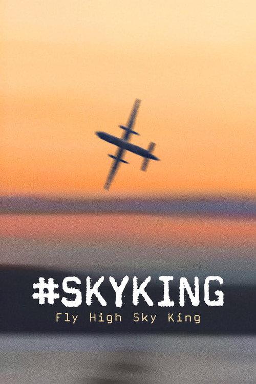 #SKYKING 2026